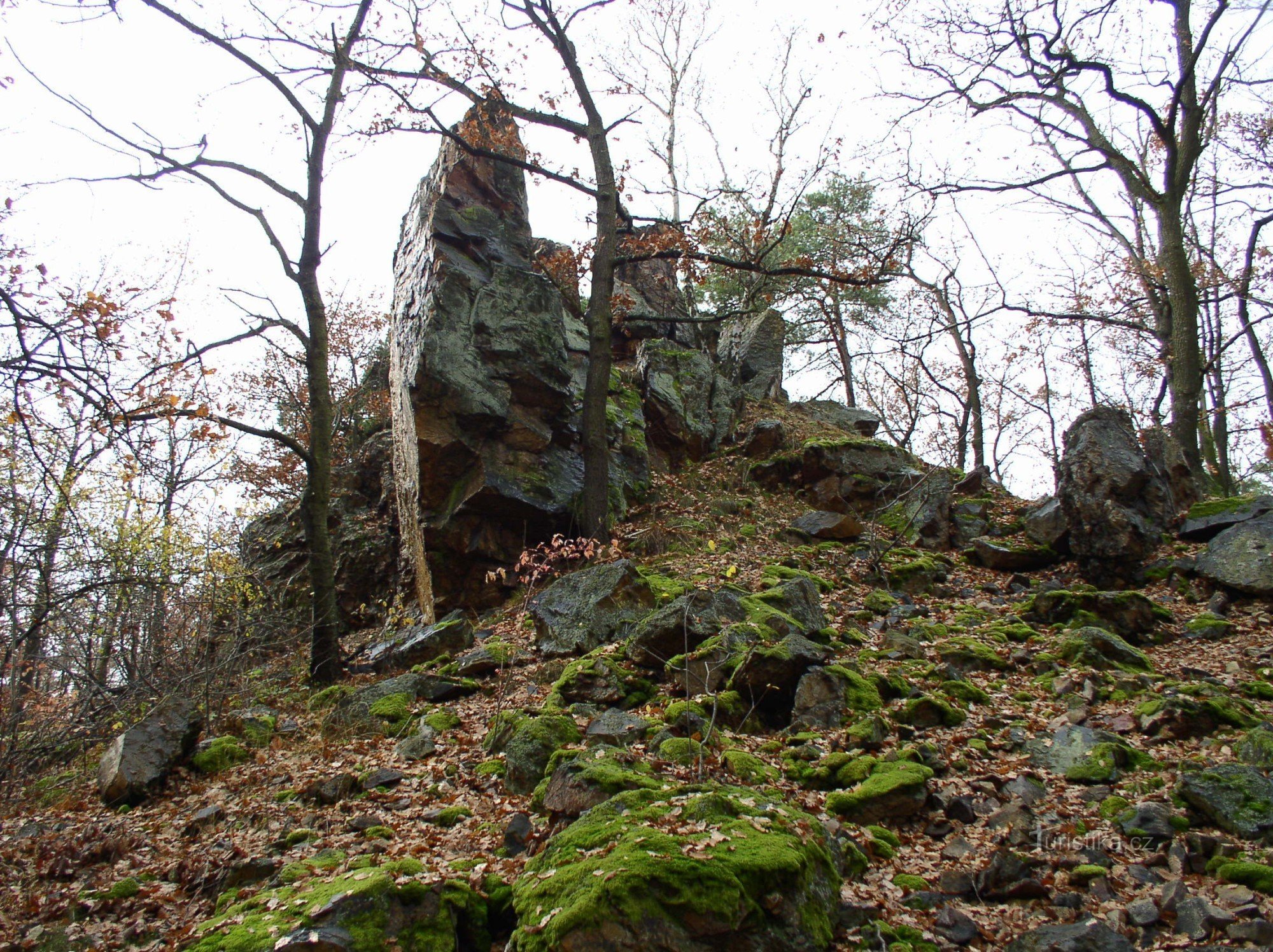 skały w lesie nad Černolicami