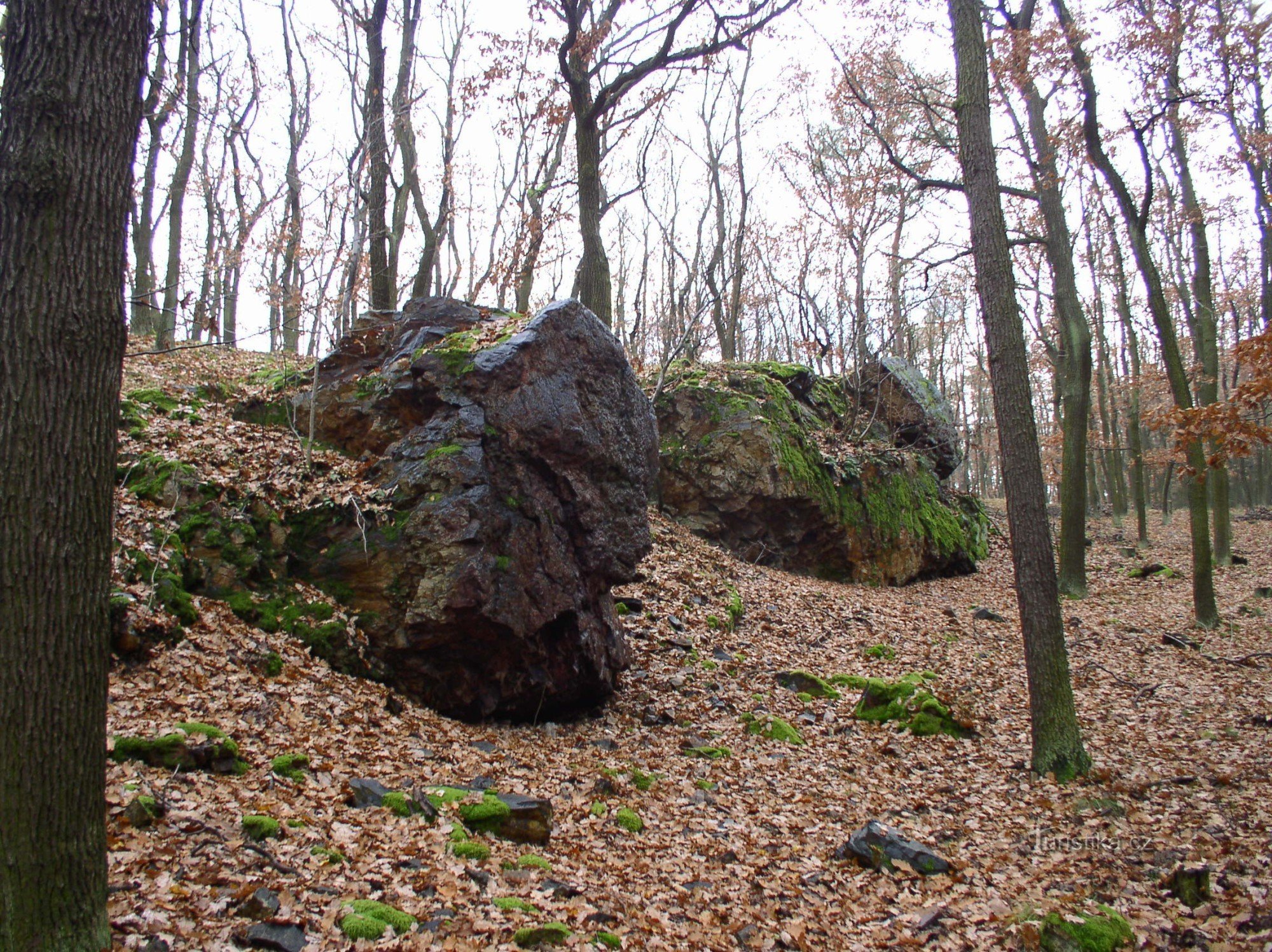 kiviä metsässä Černolicen yläpuolella