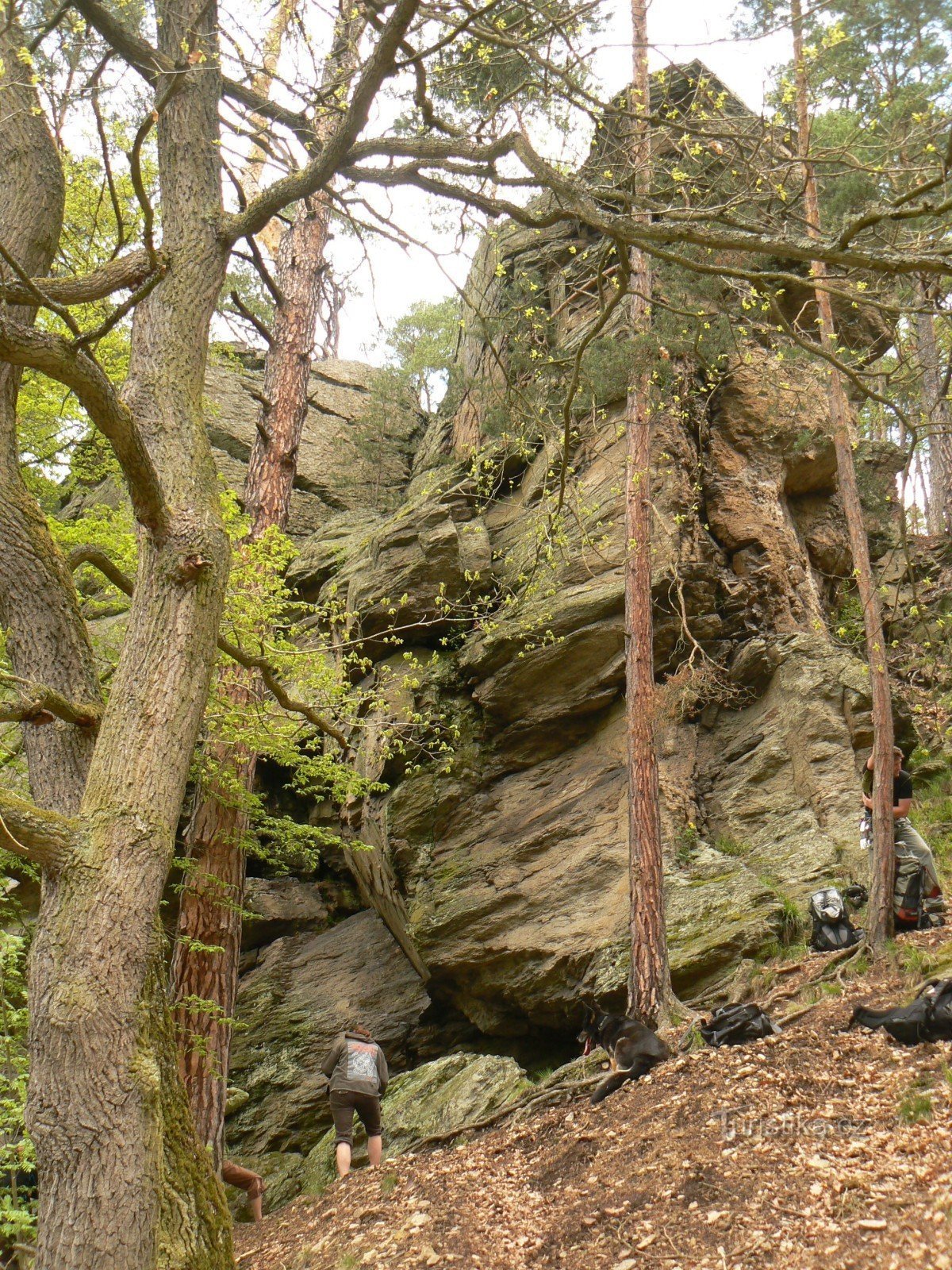 ROCHERS AUTOUR DE BECHYNA