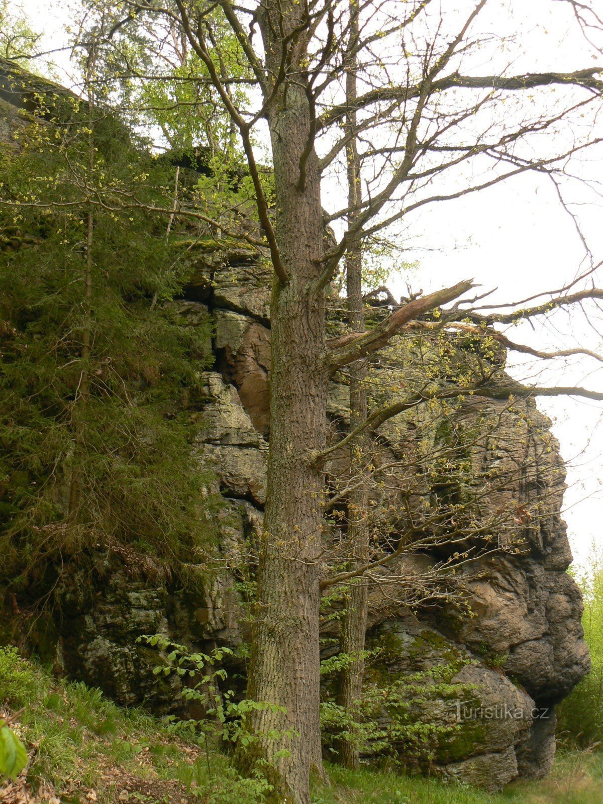 ROCHERS AUTOUR DE BECHYNA