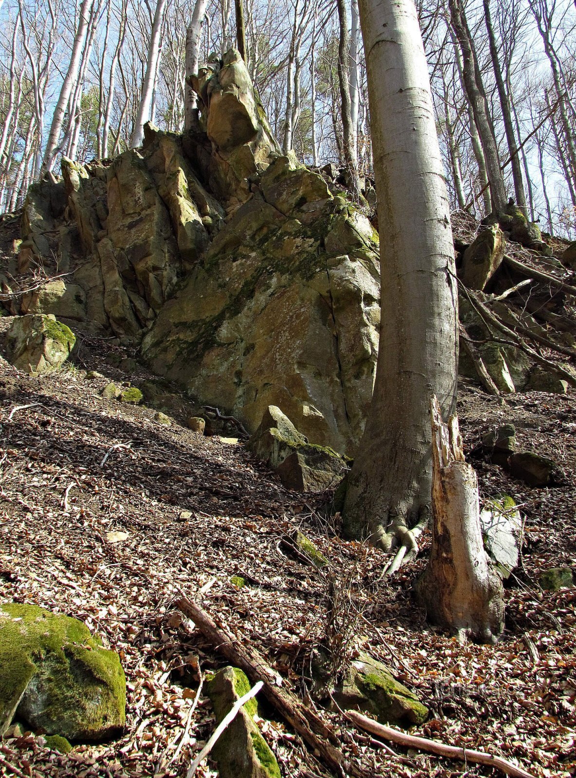 Skały wokół ruin Starý Svetlov