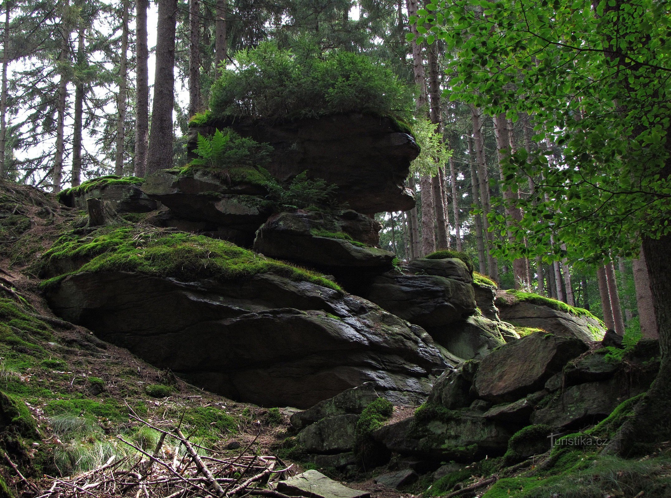 Earth Gate Rocks I.