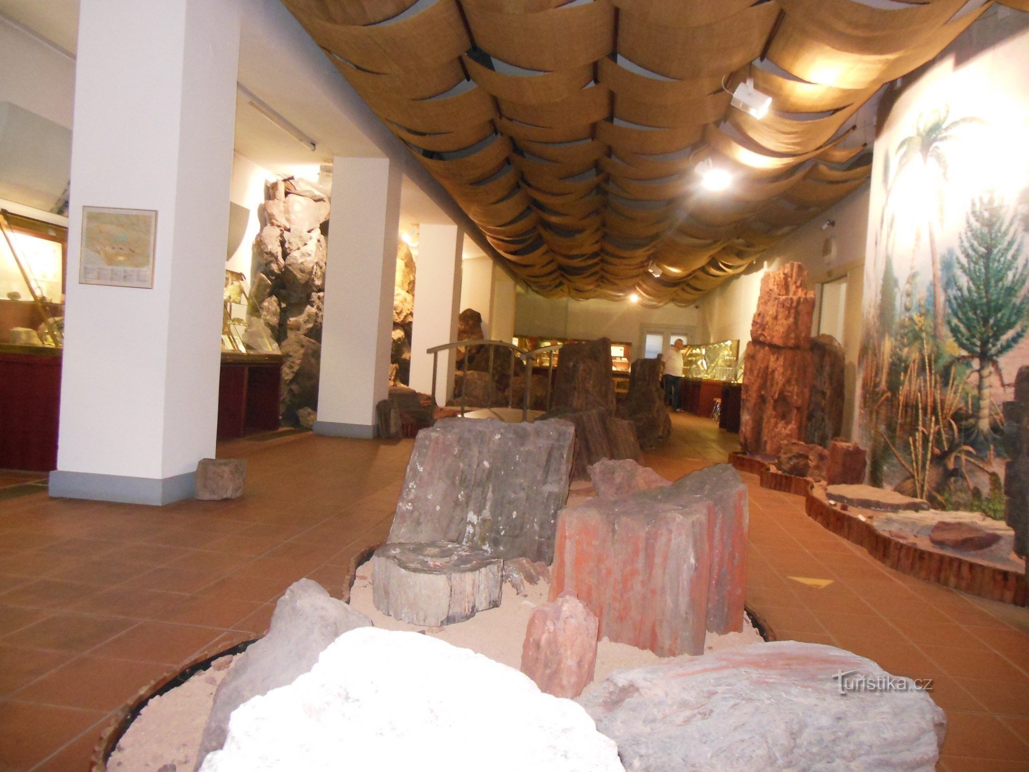 versteende bomen in de expositie van geologische ontwikkeling