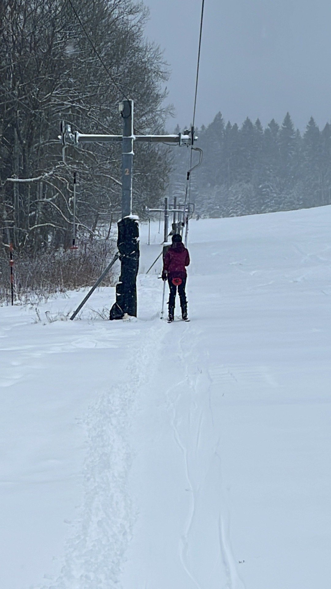 Ski Area Brčálník - poma