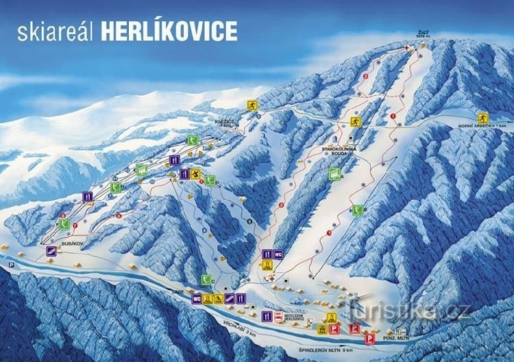 Лижна зона Herlíkovice: гірськолижна зона Herlíkovice
