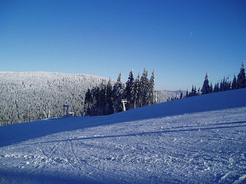Trượt tuyết Caste