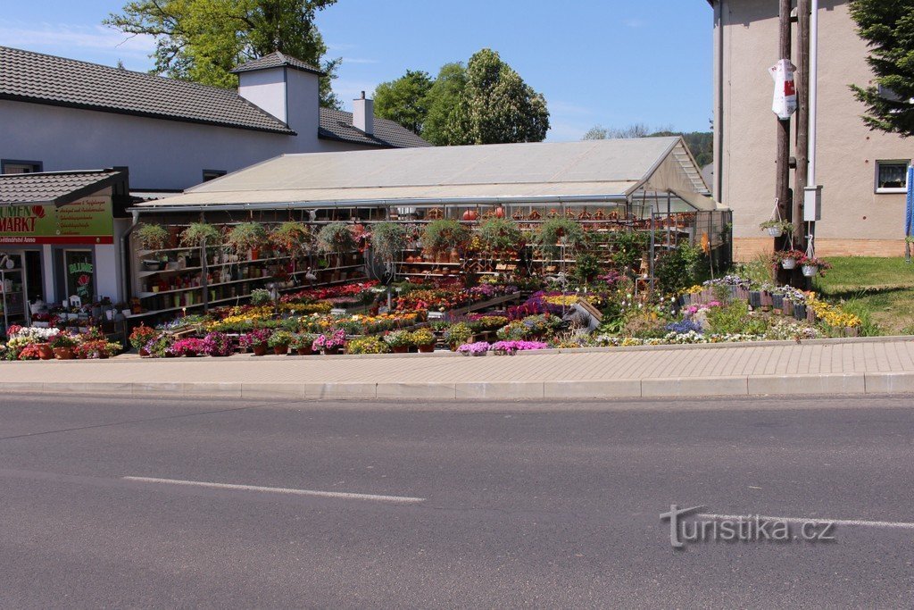 Växthus med blommor