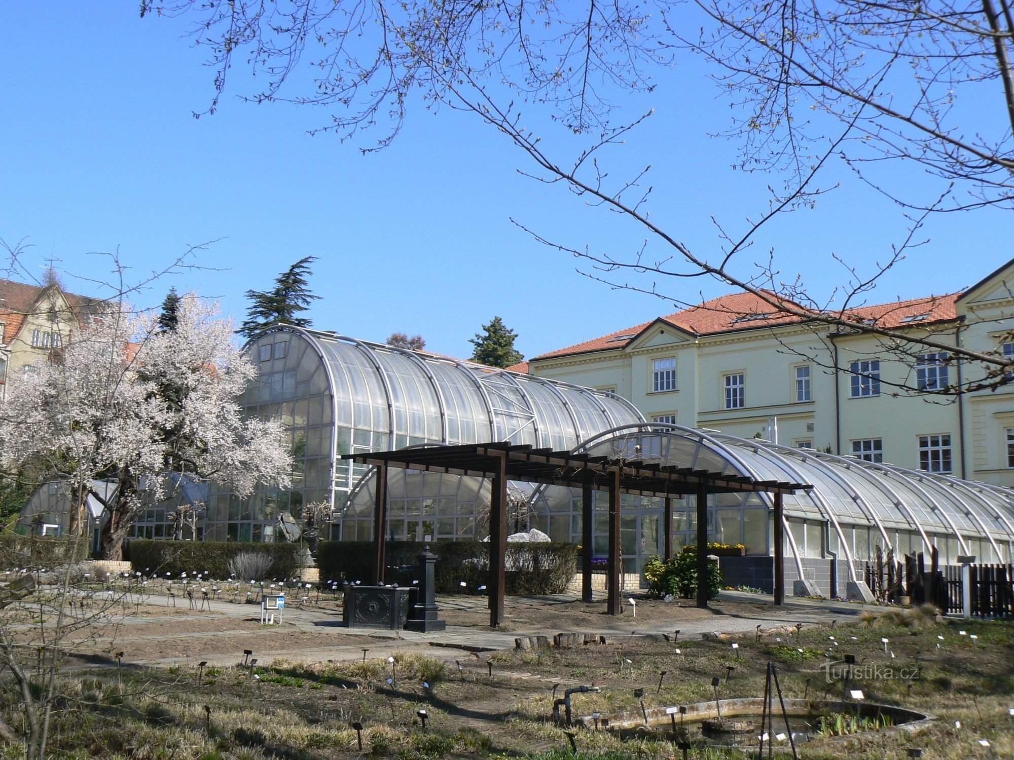 Greenhouses in spring