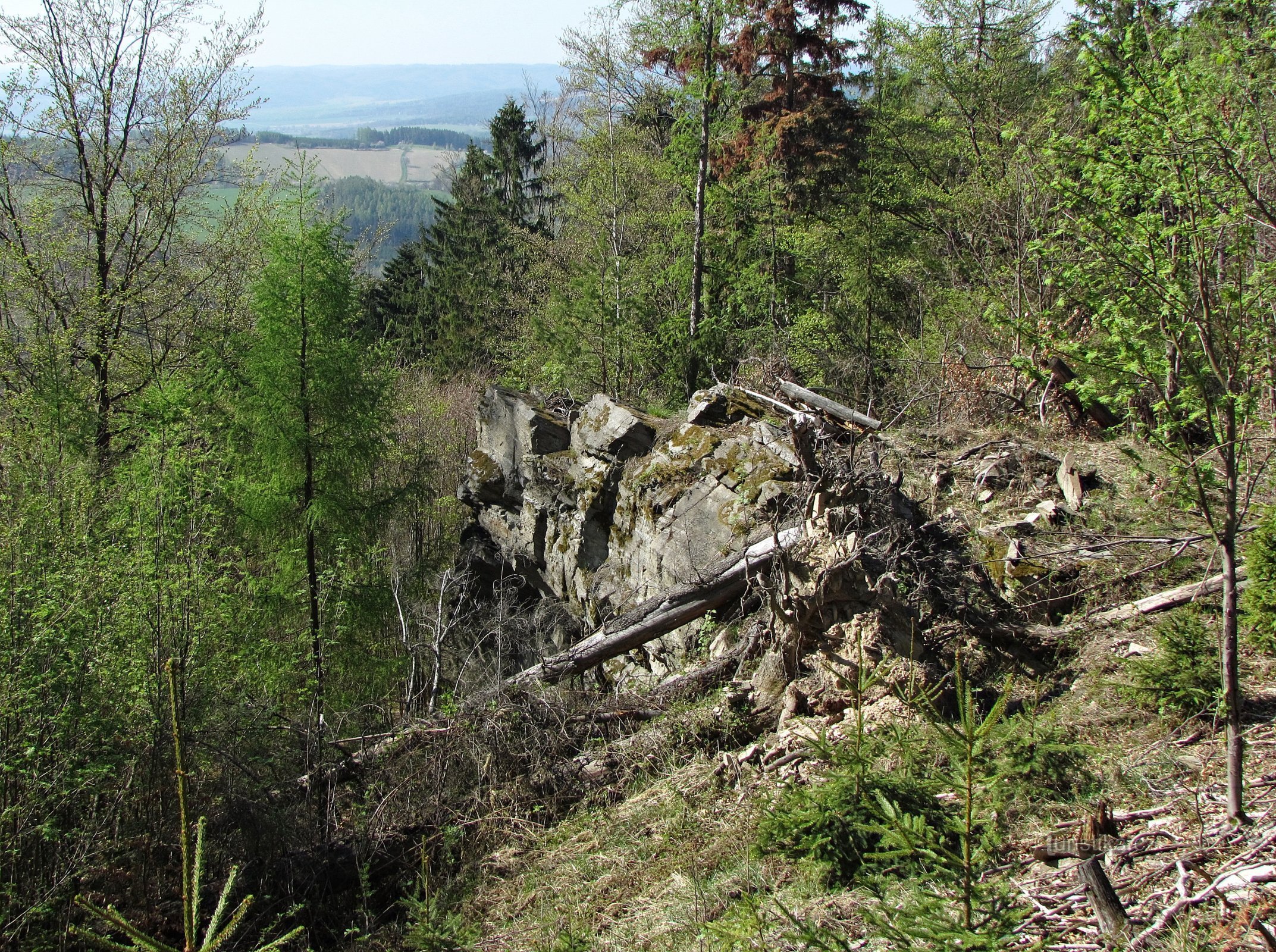 Lasinen näköalatasanne