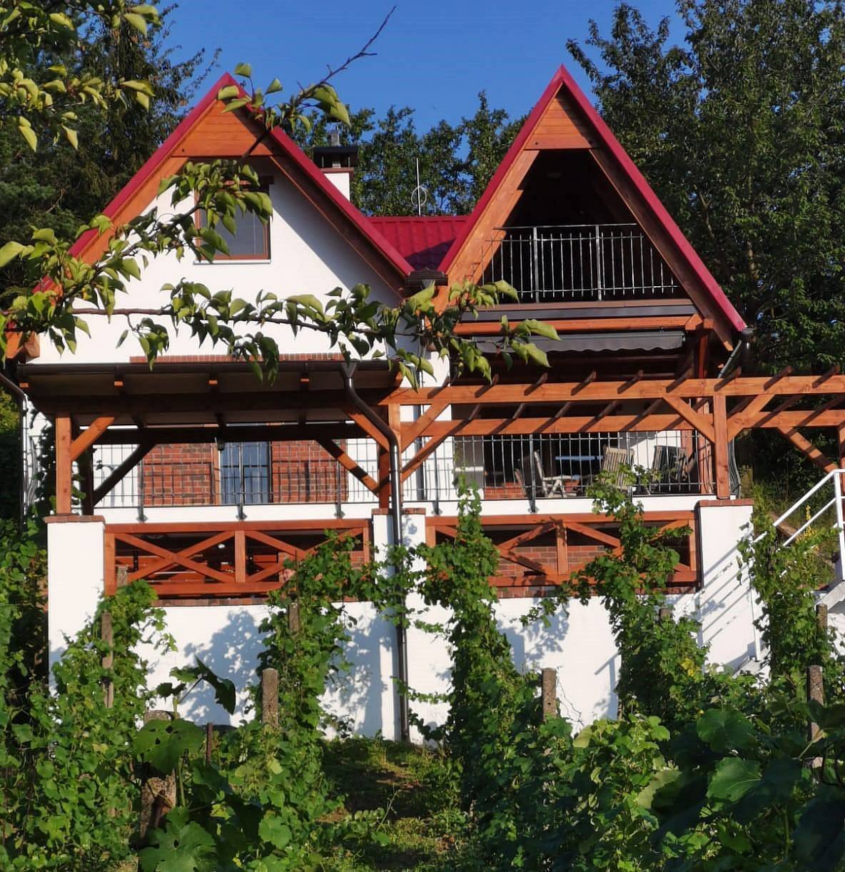 Cave Kostelec - vignoble devant la cave