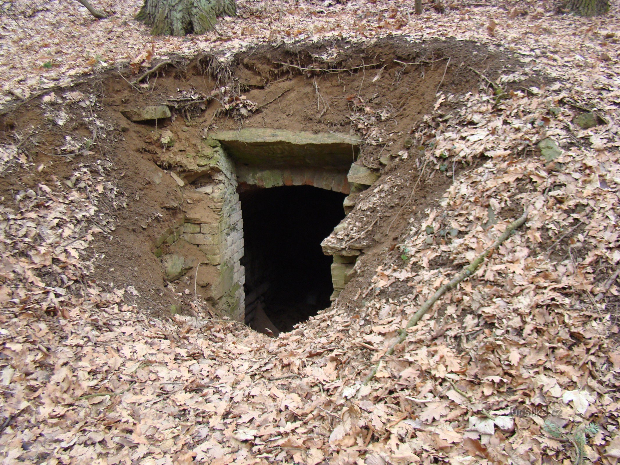 Cave sous l'ancienne scierie