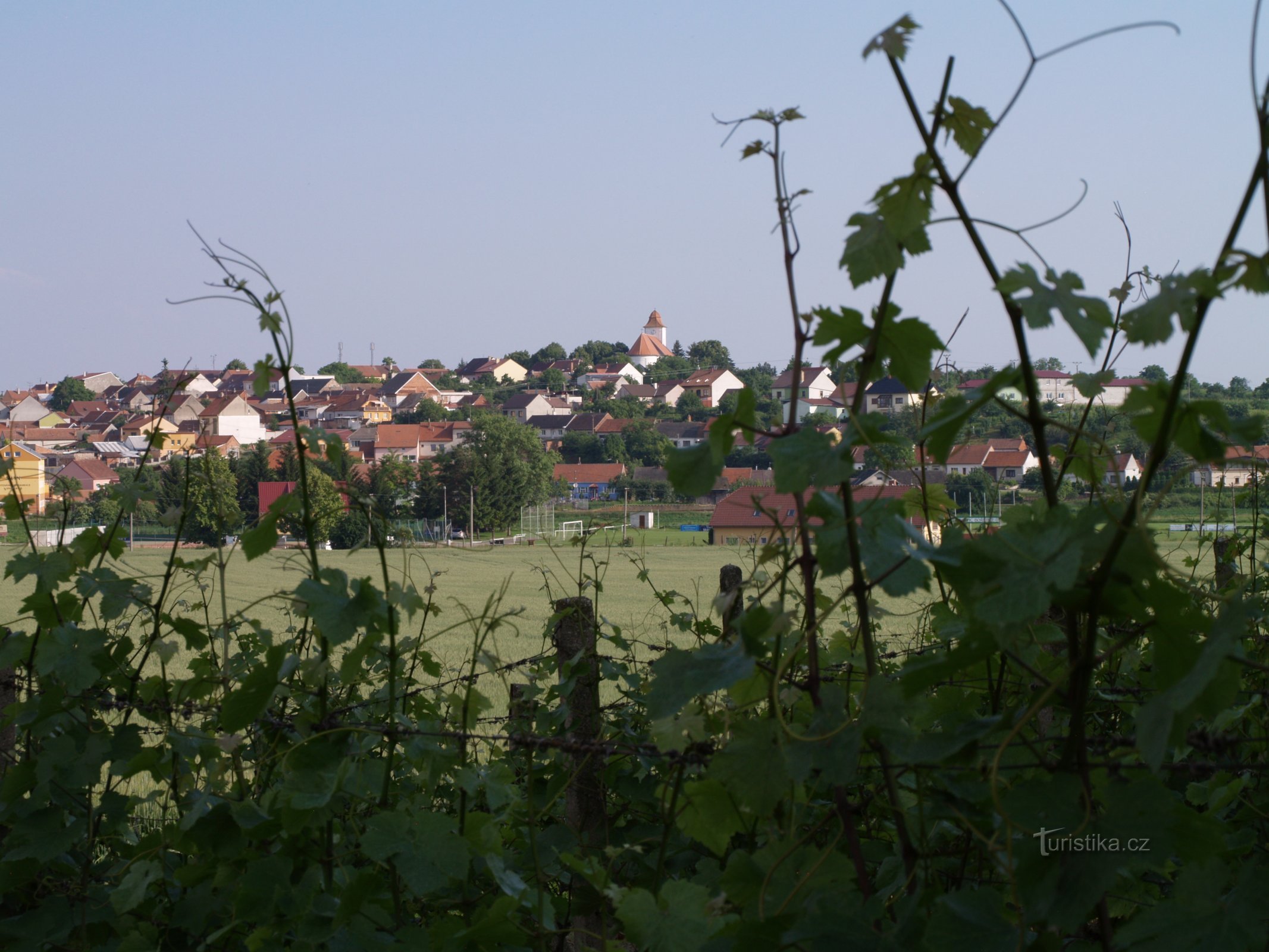 Aleea pivniței Sub Kraví horou, Bořetice