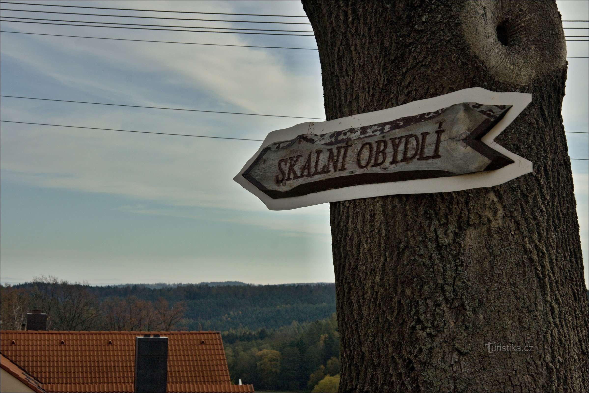 Bodegas en Zderazi, Pivnická rokle, Bor u Skutče