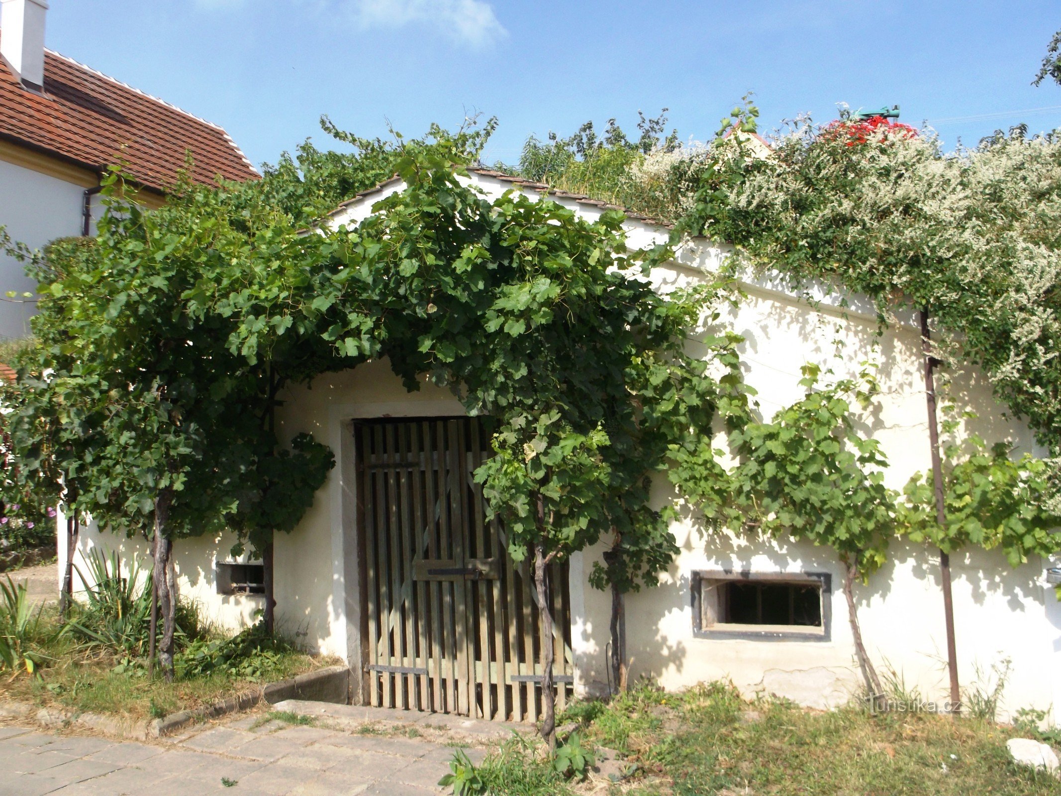 cellar