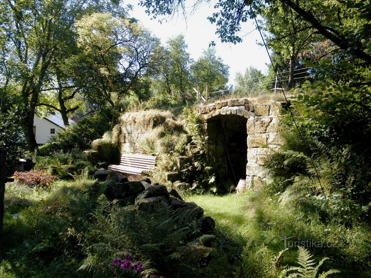 cellar in Vysoké Lípa