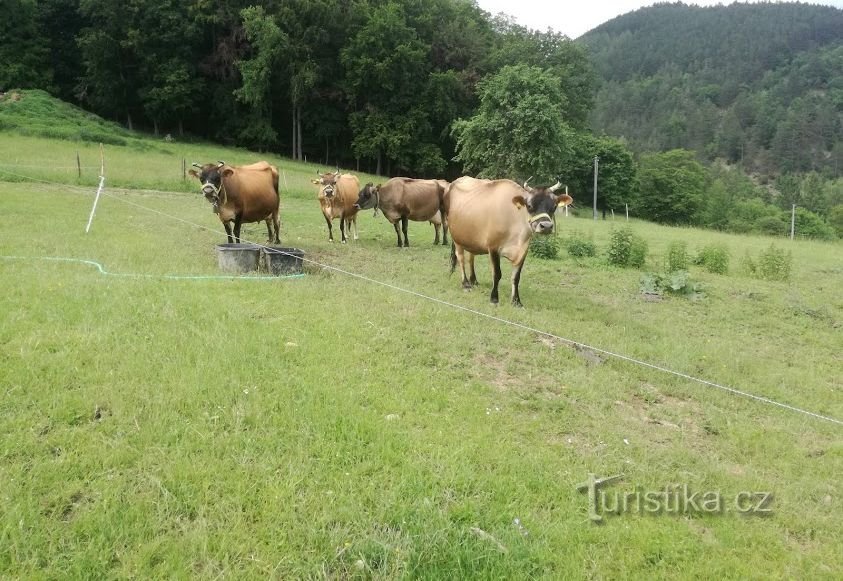 Crianças em idade escolar não vão perder a escola na natureza