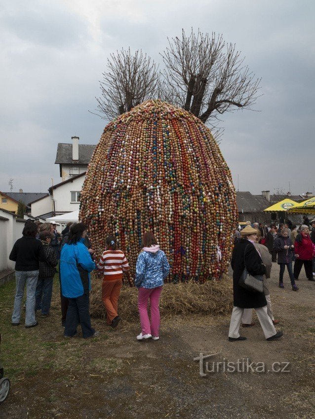 Coquillages 2012