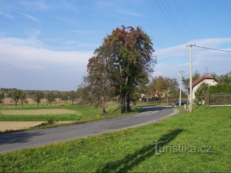 Skorotín: Blick auf das Dorf