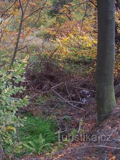 Skripovský stream: View of the stream