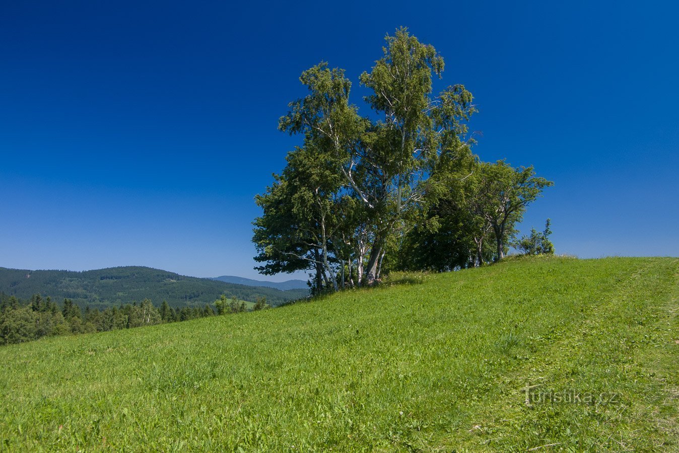 Una modesta crescita sulla collina di Brště