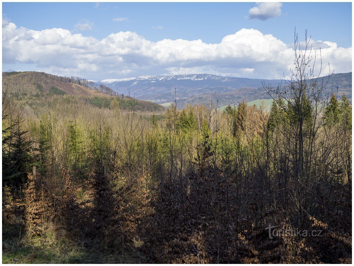 Eine bescheidene Aussicht auf dem Weg von Tulinka nach Rejchartice