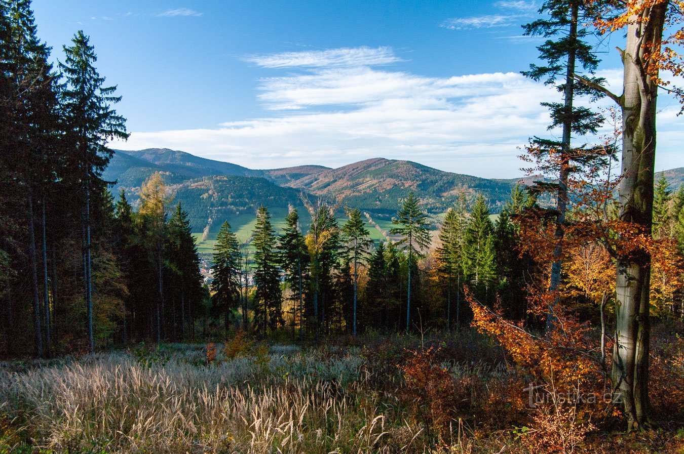 Vista modesta desde el camino forestal