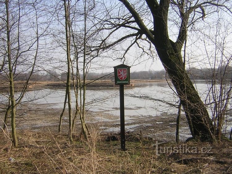 Skučák