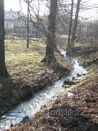 Skučák - Rychvald-joki, joka virtaa ulos lampista