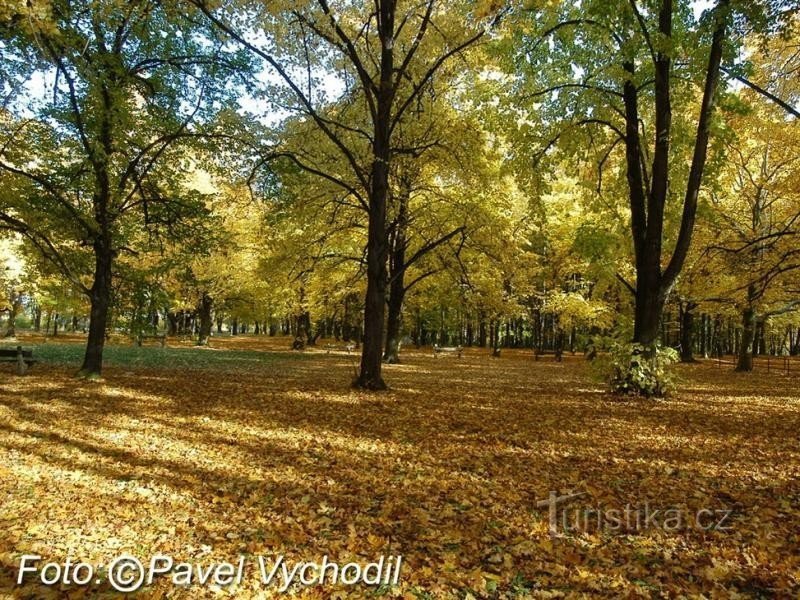 Slaný - Parque forestal de Háje