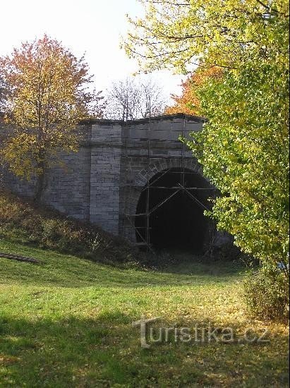 Slavuj: Tunel