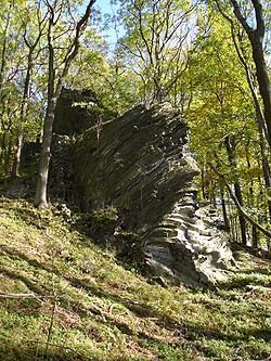 Nachtegaal - Ral heuveltje