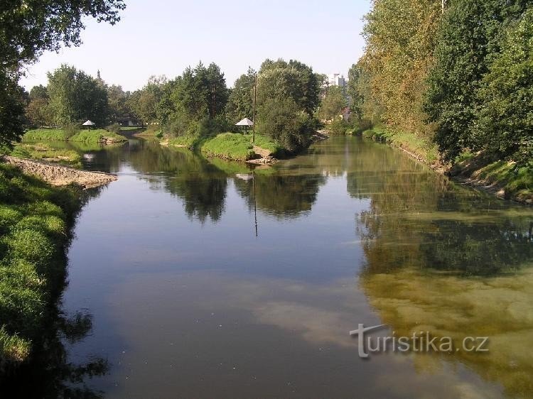 Der berühmte Zusammenfluss von Nežárka und Lužnice: Nežárka links, Lužnice rechts, L wieder in der Mitte