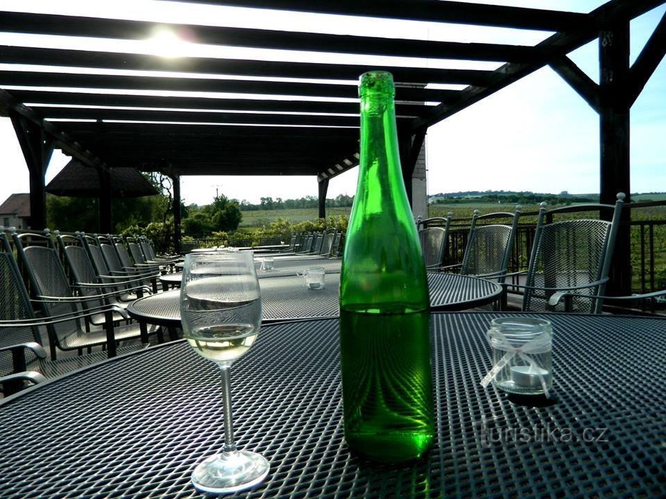 Wine breeding station Polešovice