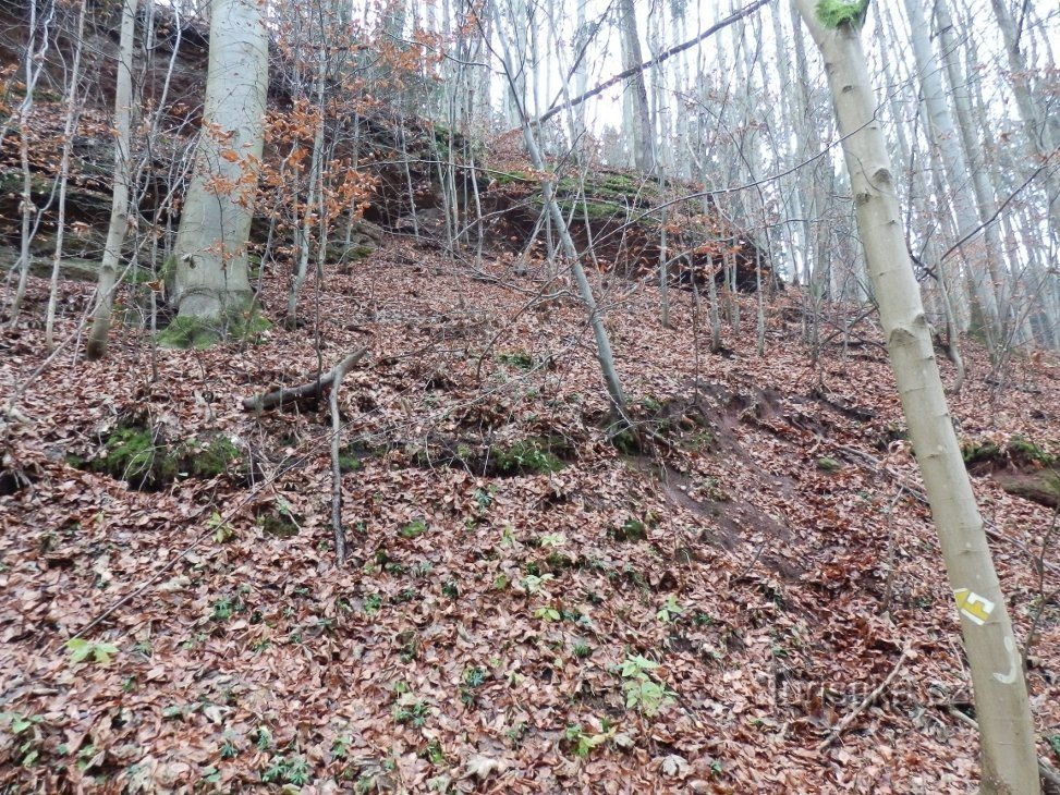 洞窟が位置する頁岩層