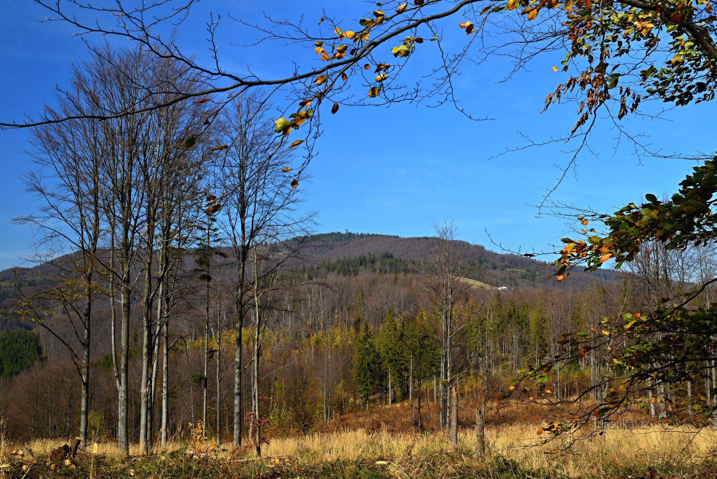 Slezské Beskydy: Velká Čantoryje z česko-polské hřebenovky