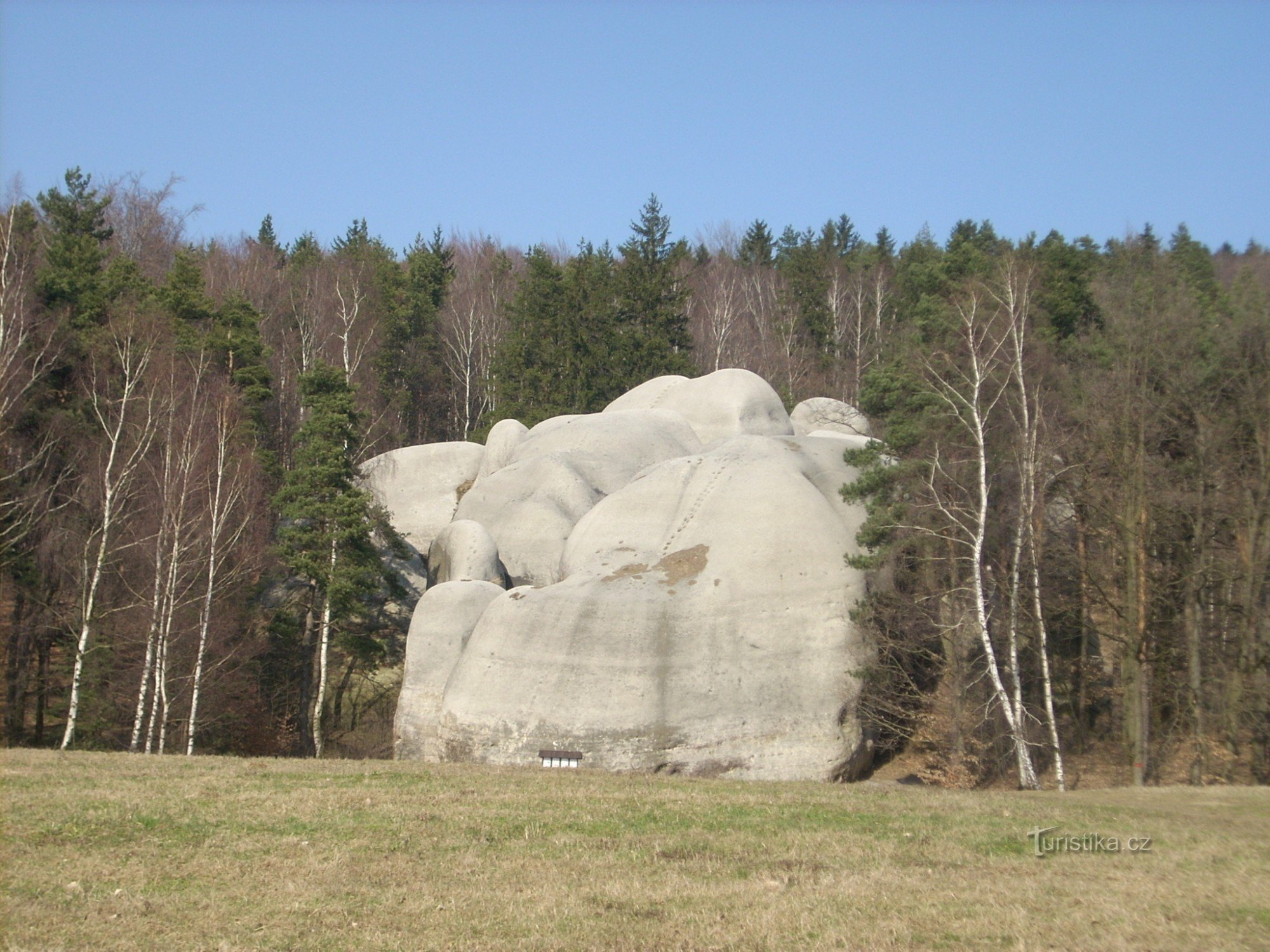 象の石