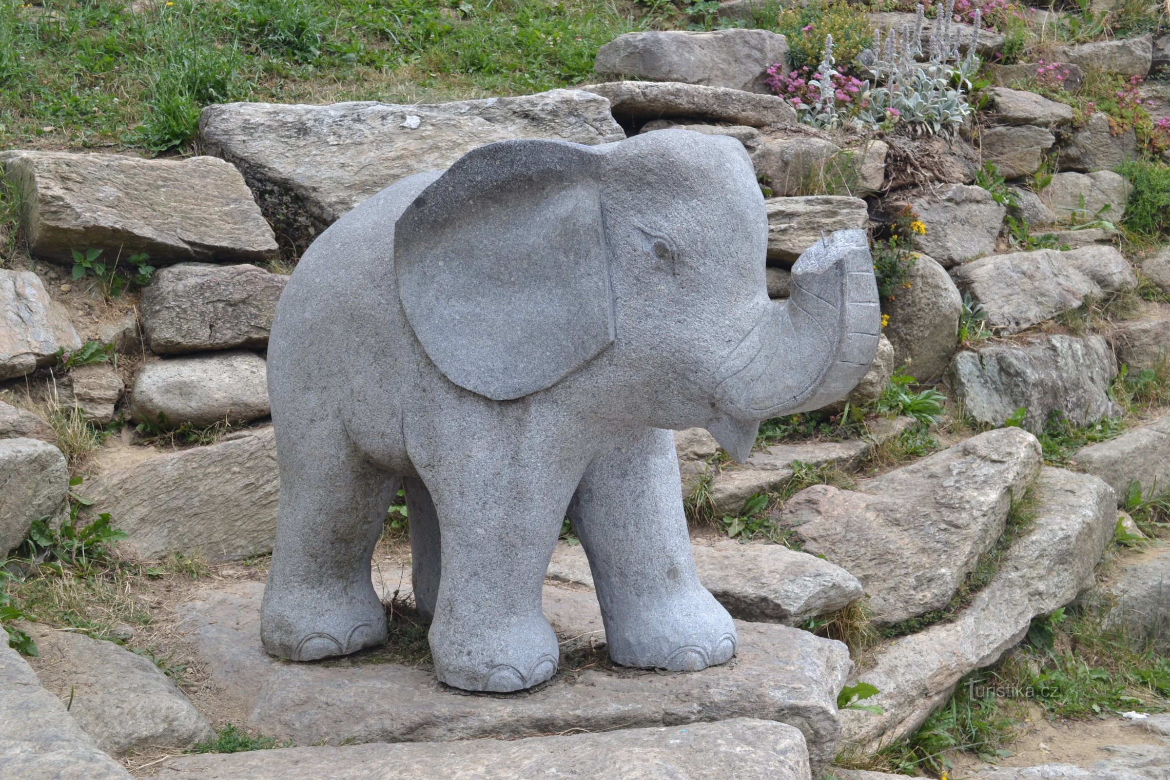 elefante junto a la pista de bobsleigh