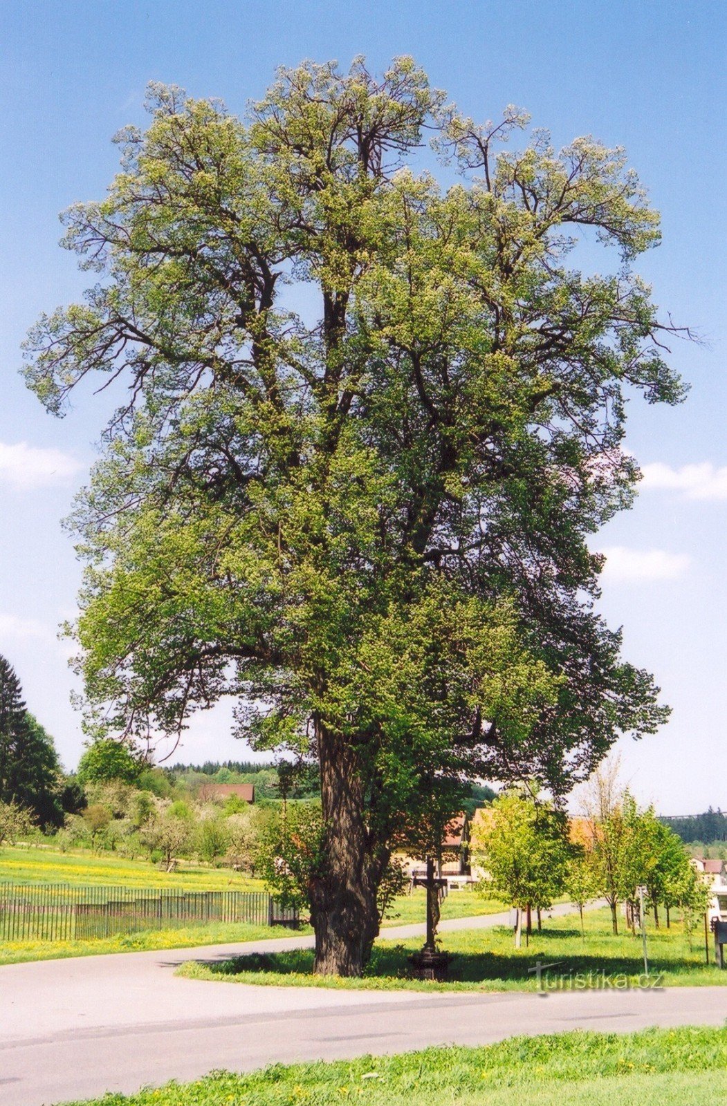 Kolonn i Moravian Karst - lind nära Hřebenáč