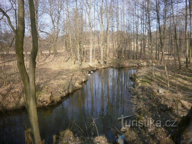 Šluknov - Bettelmanstein - Taubenheim - Sohland - Nové Hrabecí