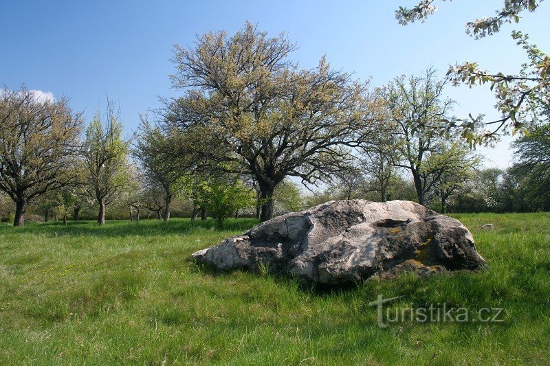 Sunbathers near Rokle