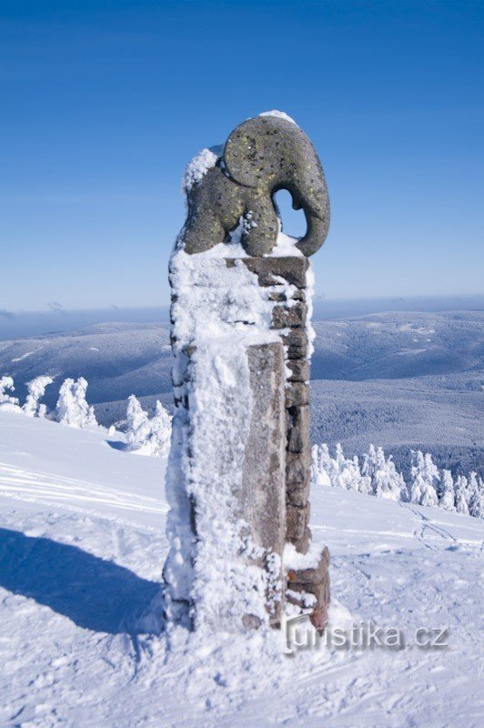 Elefanter på Kralické Sněžník