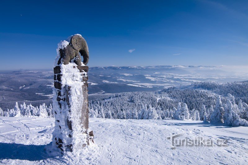 Norsuja Králické Sněžníkillä