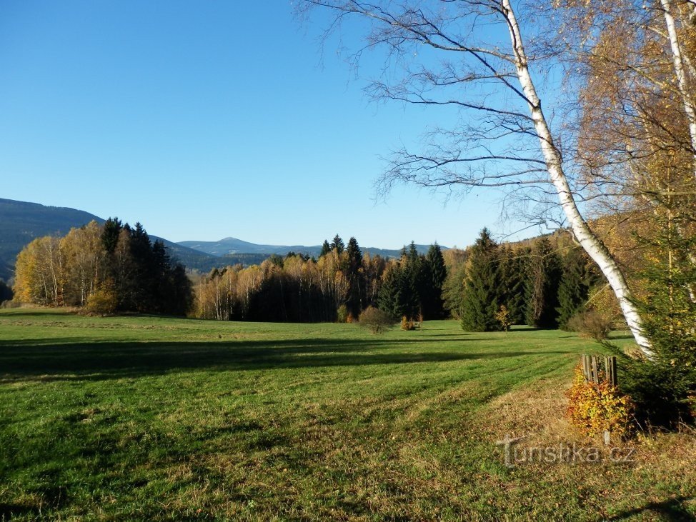 Sunčana strana, Snjeguljica viri sa stražnje strane