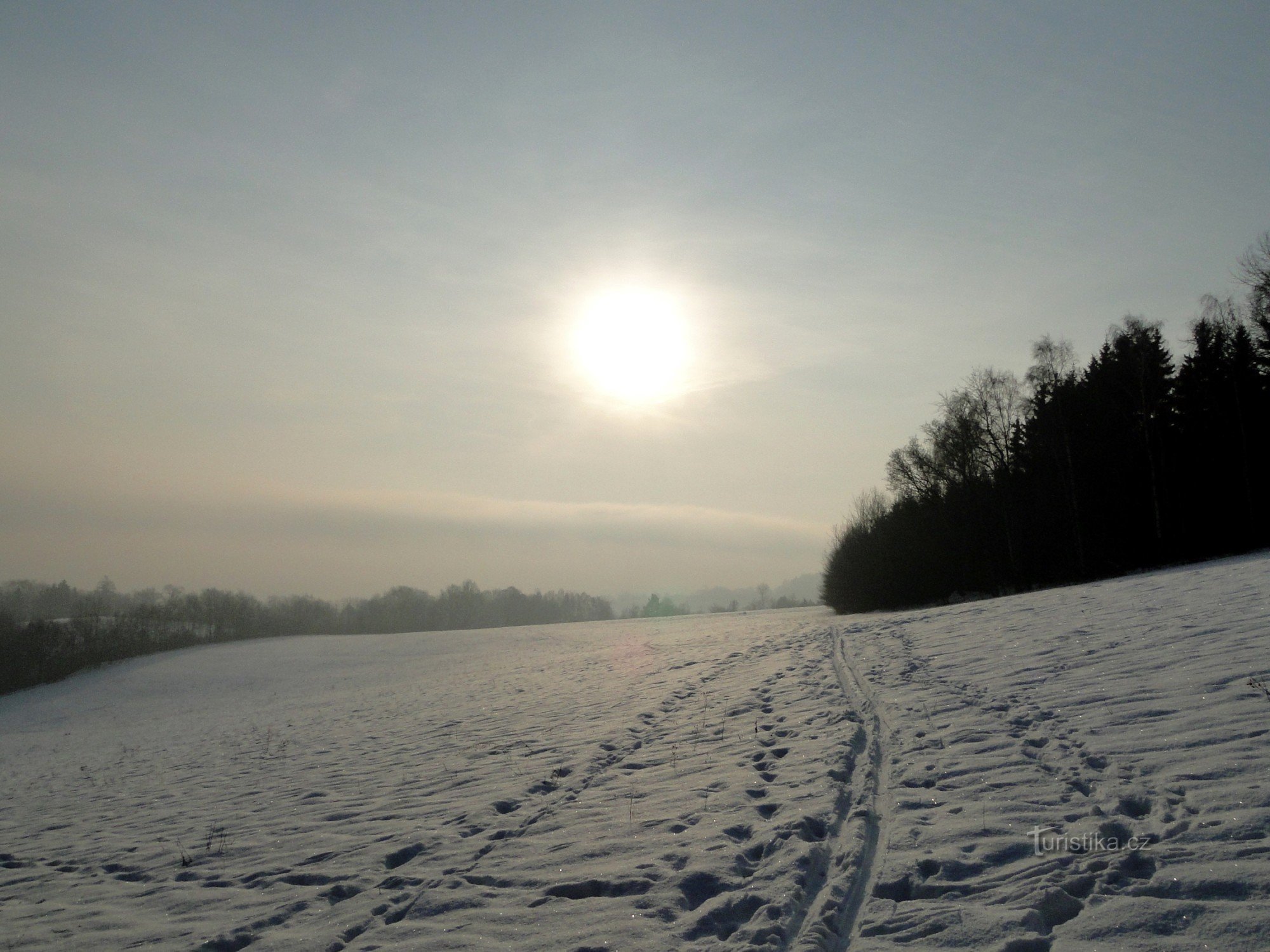 Sonnenschein unter Bradl