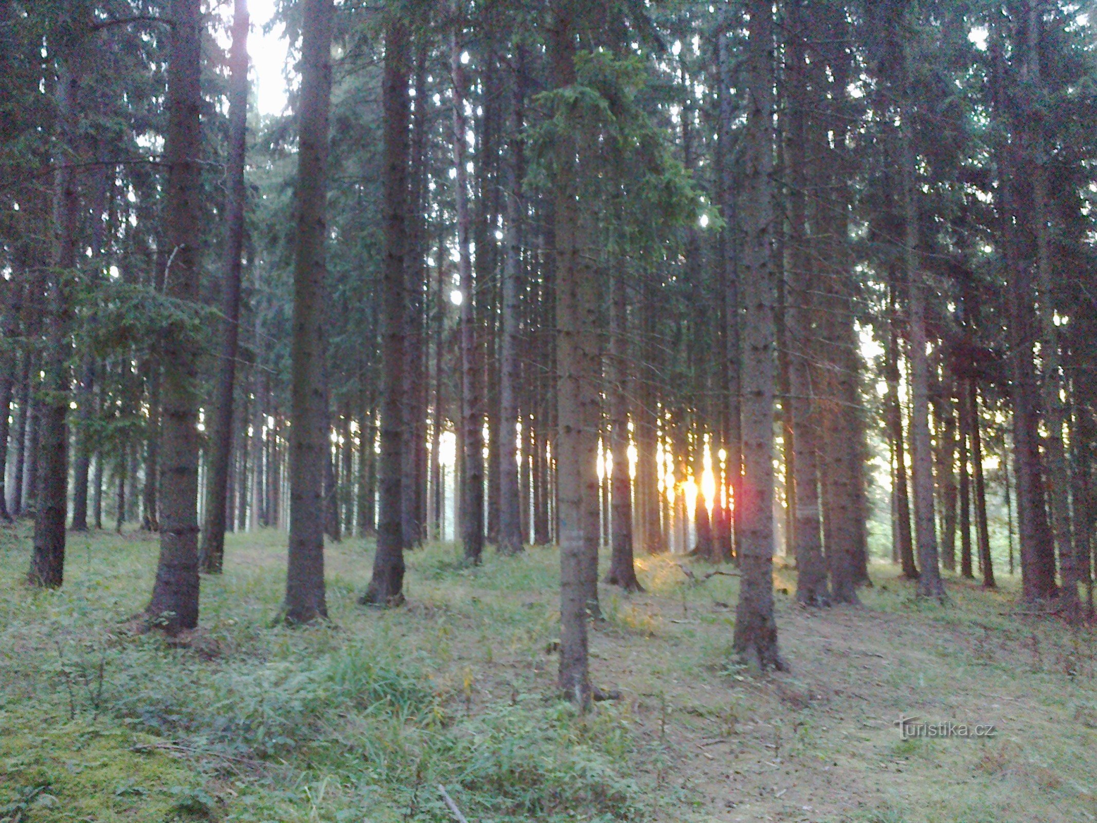 Die Sonne ging auf