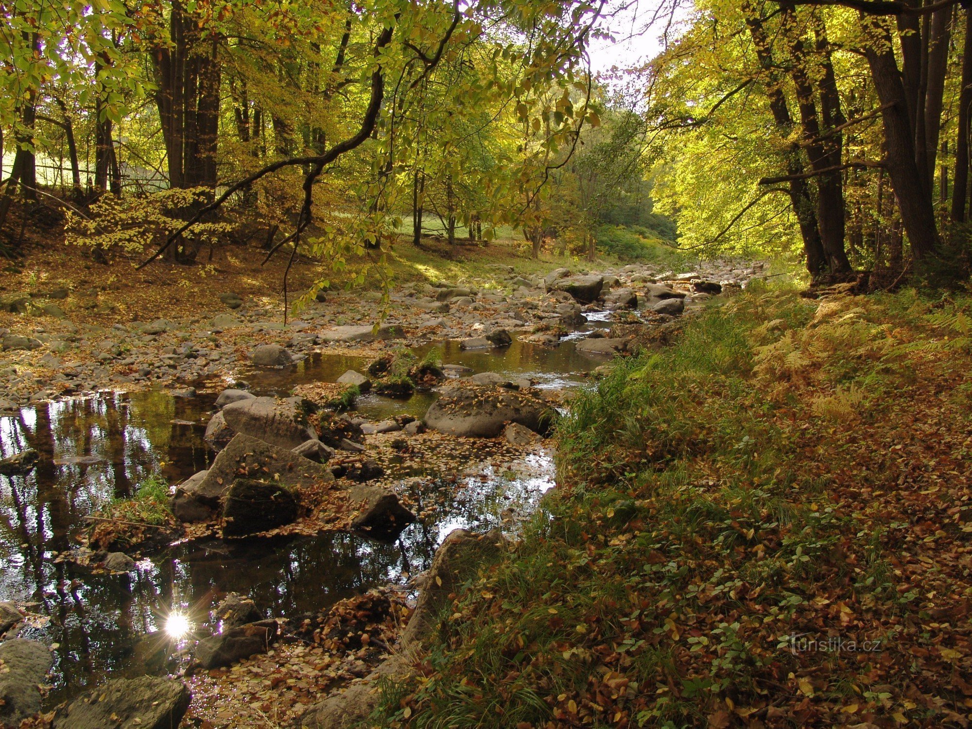 Smědá - Biegung von Hart