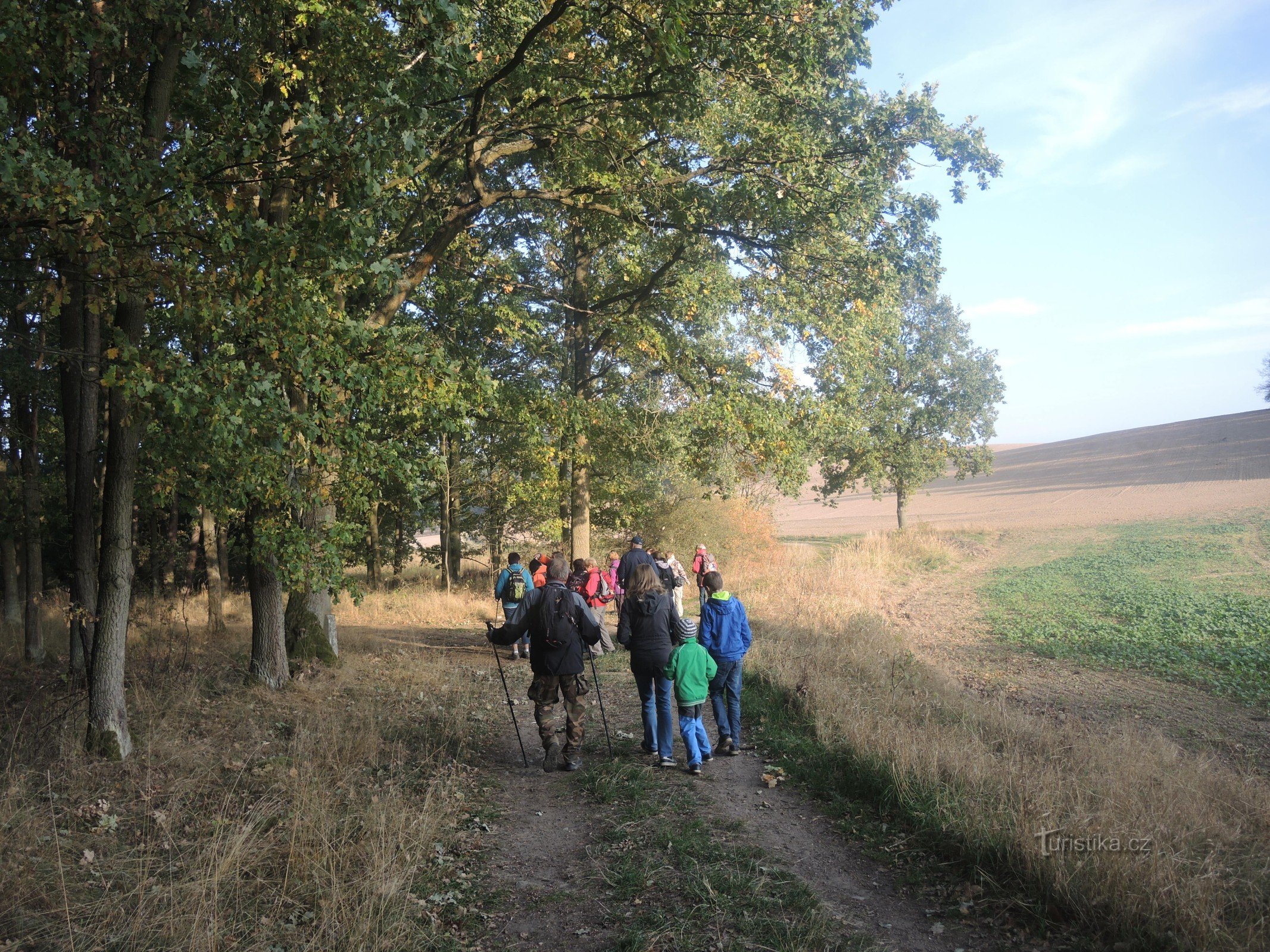 Richtung Chlum links in den Wald