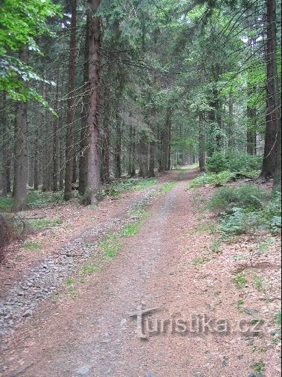 Напрямок від вказівника на Задні та Малий Яворнік