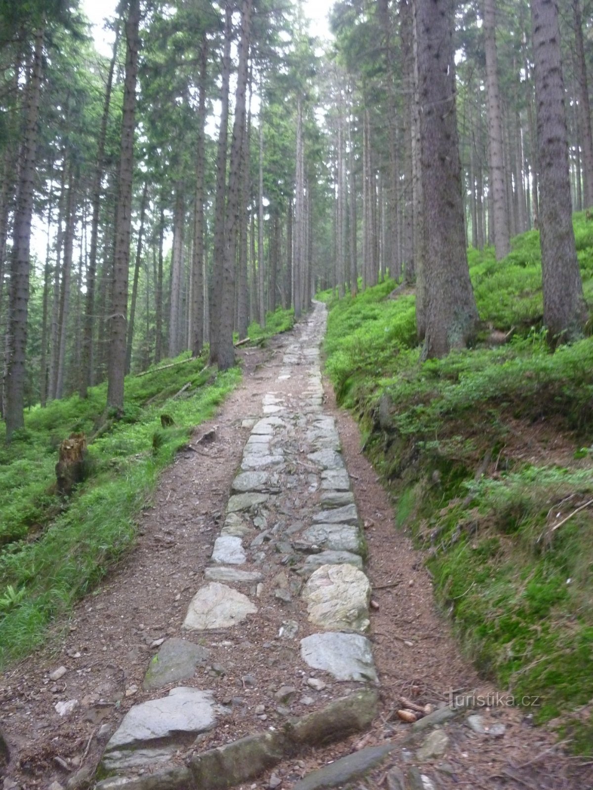 La direction de la cabane de Richter