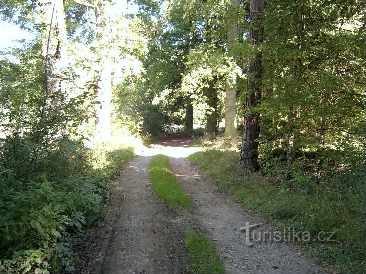 Kierunek północno-wschodni: kierunek niebieski: Kozel - Šťáhlavy; Zielony: Hádek - Hádecký potok